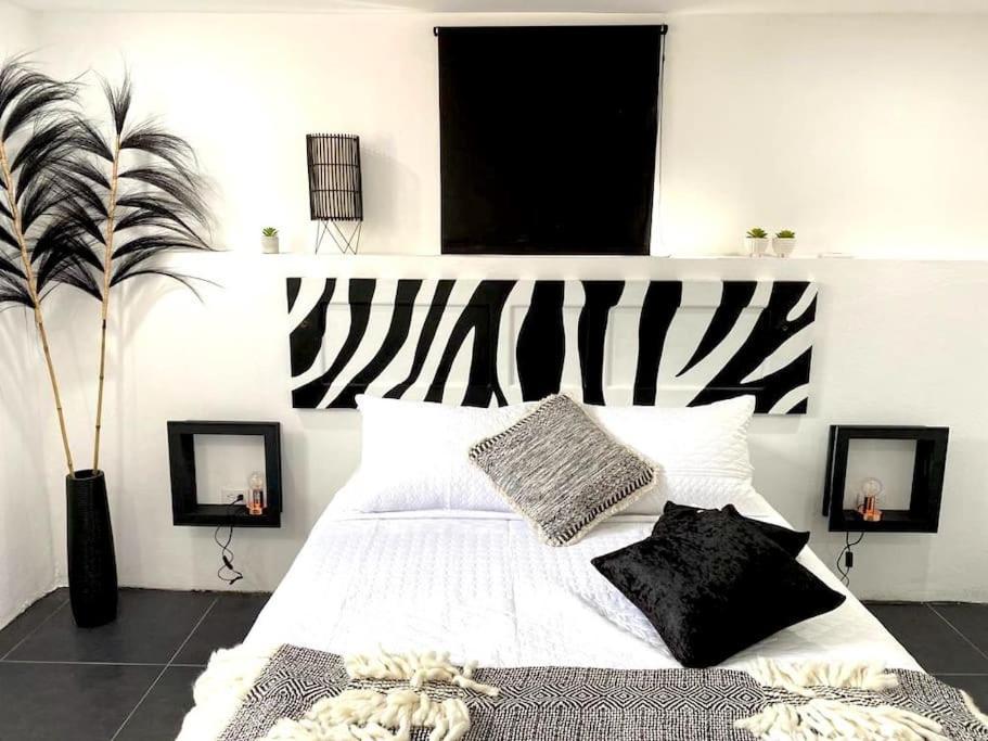 Paradiso Apartments - 1 Bdr Oranjestad Eksteriør bilde